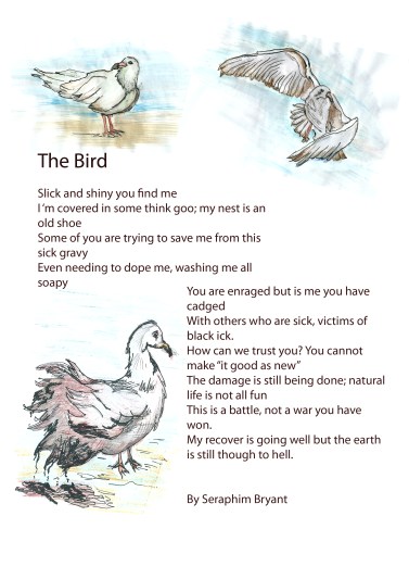 thebird copy